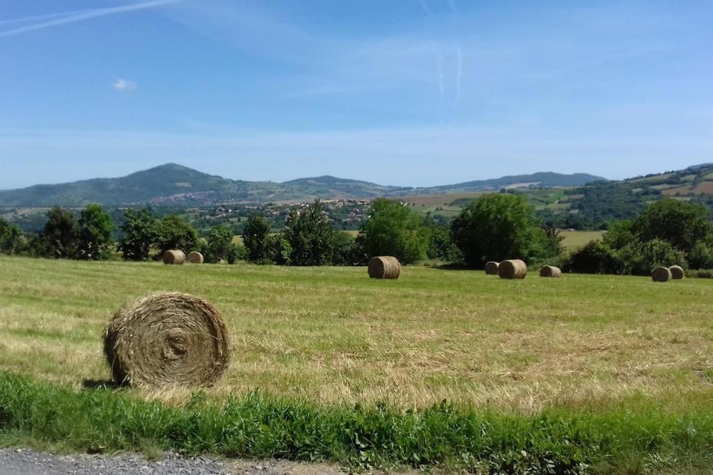 Appartement Les Pierres Blondes à Montpeyroux  Extérieur photo