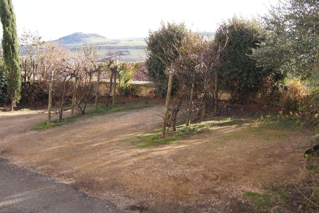 Appartement Les Pierres Blondes à Montpeyroux  Extérieur photo